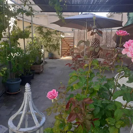 17 Flats And Roof Garden-3